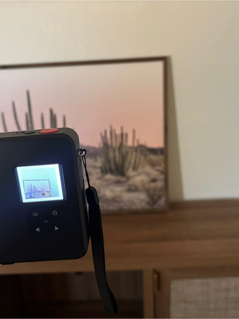 Kodak immaculate used